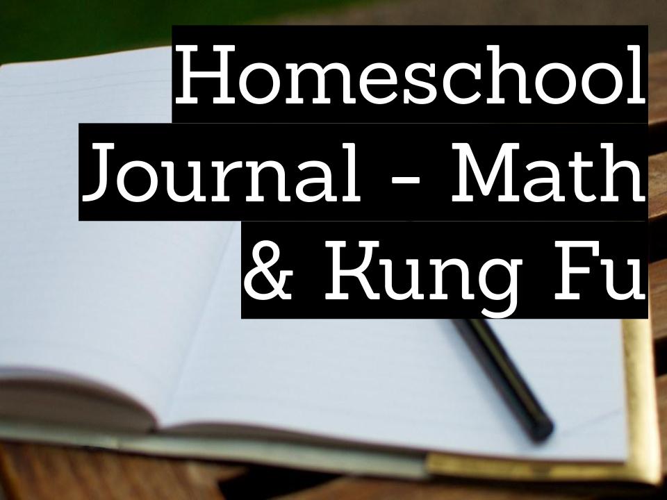 Homeschool journal - math and kung fu