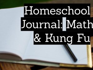 Homeschool journal: math and kung fu